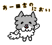 790574871