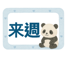 790579203