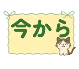 790579205