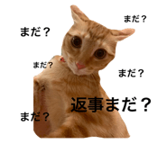 790579551