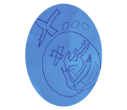 790583935