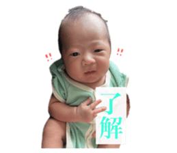 790589541