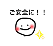 790590381