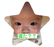 790591773
