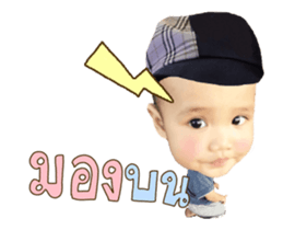 79059291