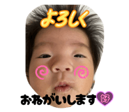 790593623