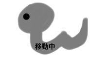 790599962