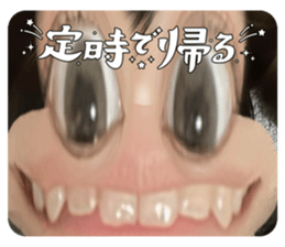 790628381