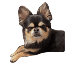 790633669