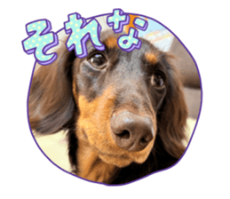 790654358