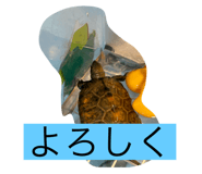 790655845