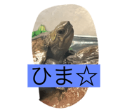 790655846