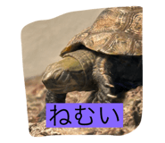 790655848