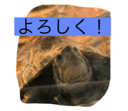 790655851