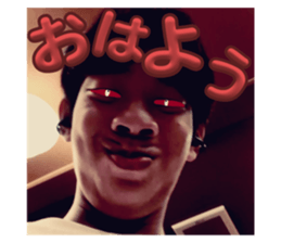 790664604