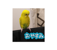 790676339