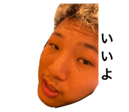 790679994
