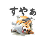 790683026