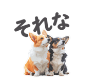 790683030