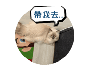 790683387