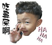 790691433