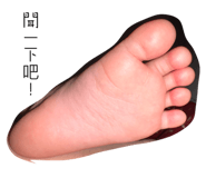 790691435