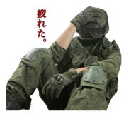790691885
