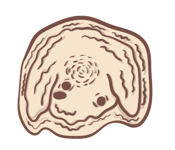 790700087