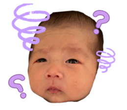 790723733