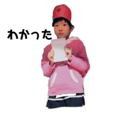 790733376