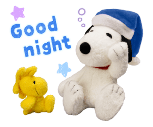 Snoopy สื่อความในใจด้วยตุ๊กตา รูปที่ 10