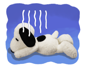 Snoopy สื่อความในใจด้วยตุ๊กตา รูปที่ 20