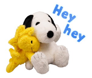 Snoopy สื่อความในใจด้วยตุ๊กตา รูปที่ 21