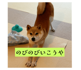 790772596