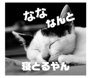790783904