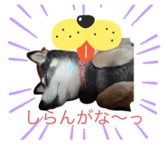 790786186