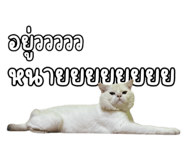 790788196