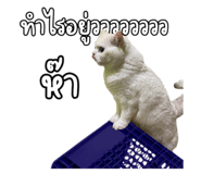 790788197