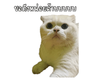 790788198