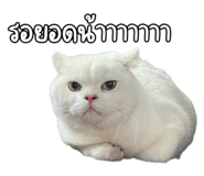 790788199