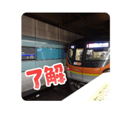 790788228