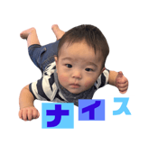 790789531