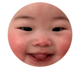 790791773