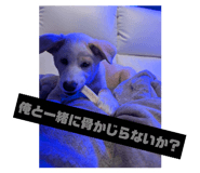 790799995