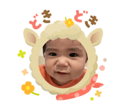 790803366