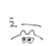 790803536