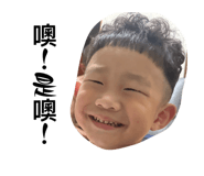 790804785