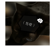 790806413