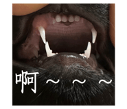 790806414