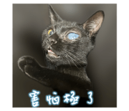 790806415